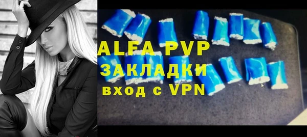 спиды Вяземский