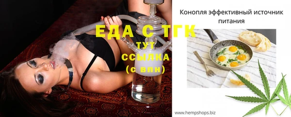 гидра Вязьма