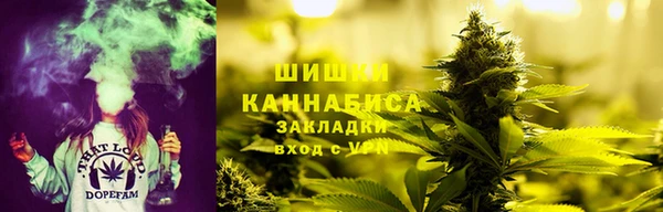 ПСИЛОЦИБИНОВЫЕ ГРИБЫ Гусев