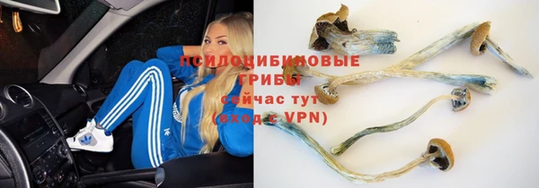 MDMA Гусиноозёрск