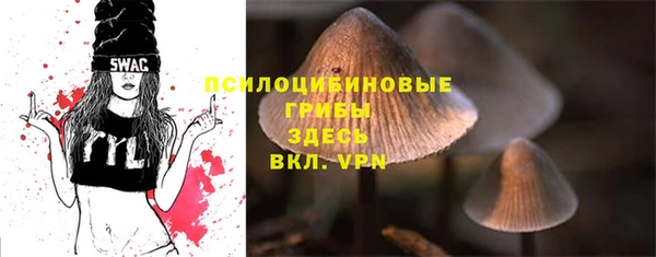 спиды Вяземский
