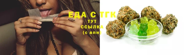 гидра Вязьма