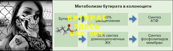 спиды Вяземский