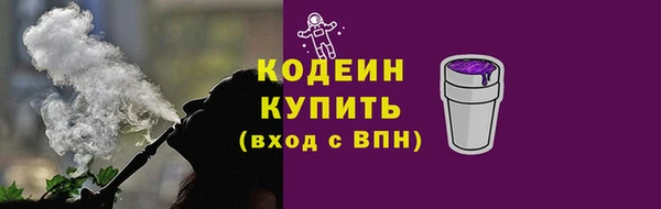 спиды Вяземский