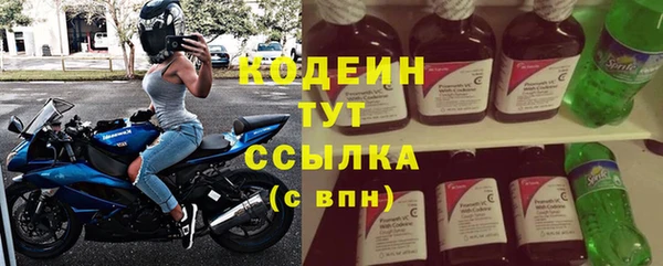 спиды Вяземский