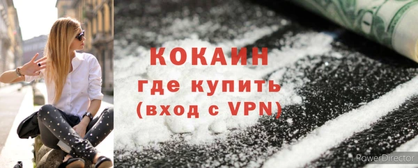 гидра Вязьма