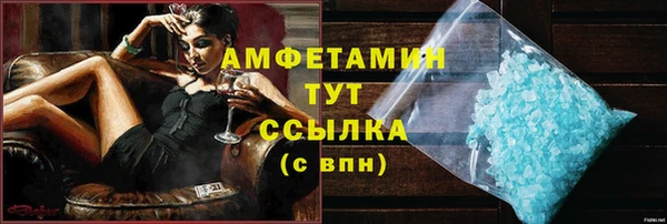 ПСИЛОЦИБИНОВЫЕ ГРИБЫ Гусев