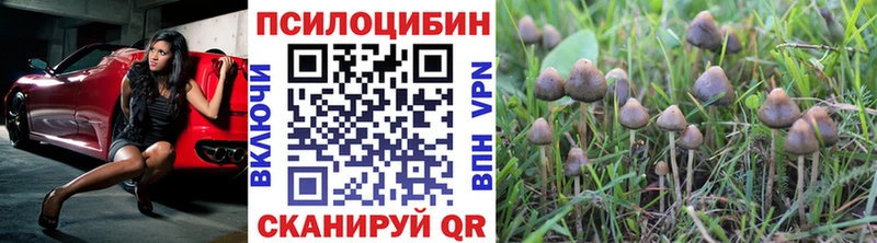 Псилоцибиновые грибы GOLDEN TEACHER как найти закладки Елабуга